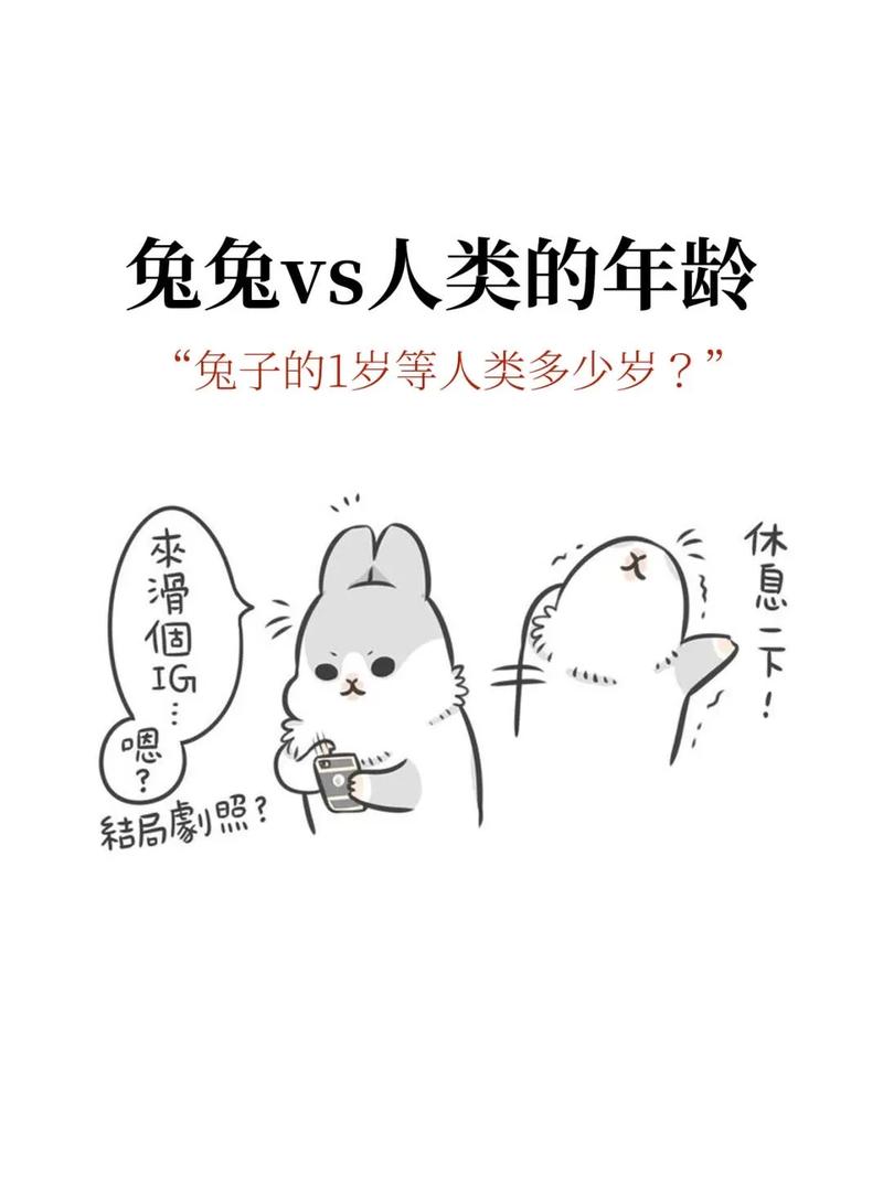 作为消费者“兔子听得懂人话吗”你不能不知道-第4张图片 作为消费者“兔子听得懂人话吗”你不能不知道-第4张图片