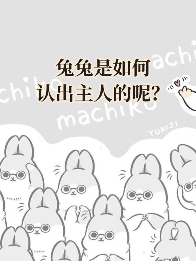 作为消费者“兔子听得懂人话吗”你不能不知道-第5张图片 作为消费者“兔子听得懂人话吗”你不能不知道-第5张图片