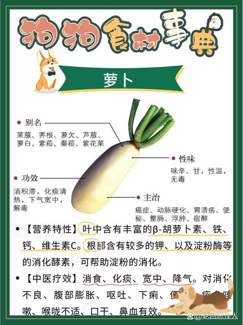 狗能吃白萝卜吗/狗能吃白萝卜吗为什么-第2张图片 狗能吃白萝卜吗/狗能吃白萝卜吗为什么-第2张图片