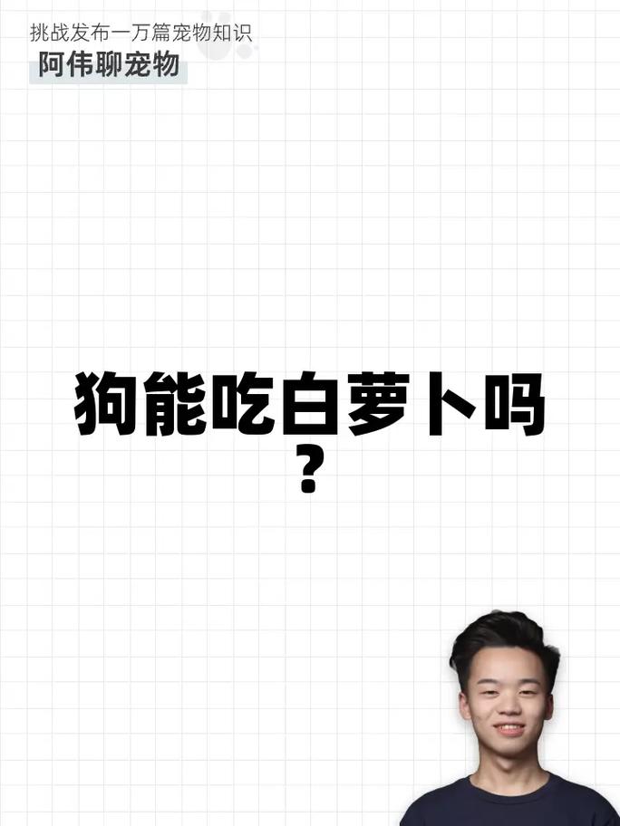 狗能吃白萝卜吗/狗能吃白萝卜吗为什么-第6张图片 狗能吃白萝卜吗/狗能吃白萝卜吗为什么-第6张图片
