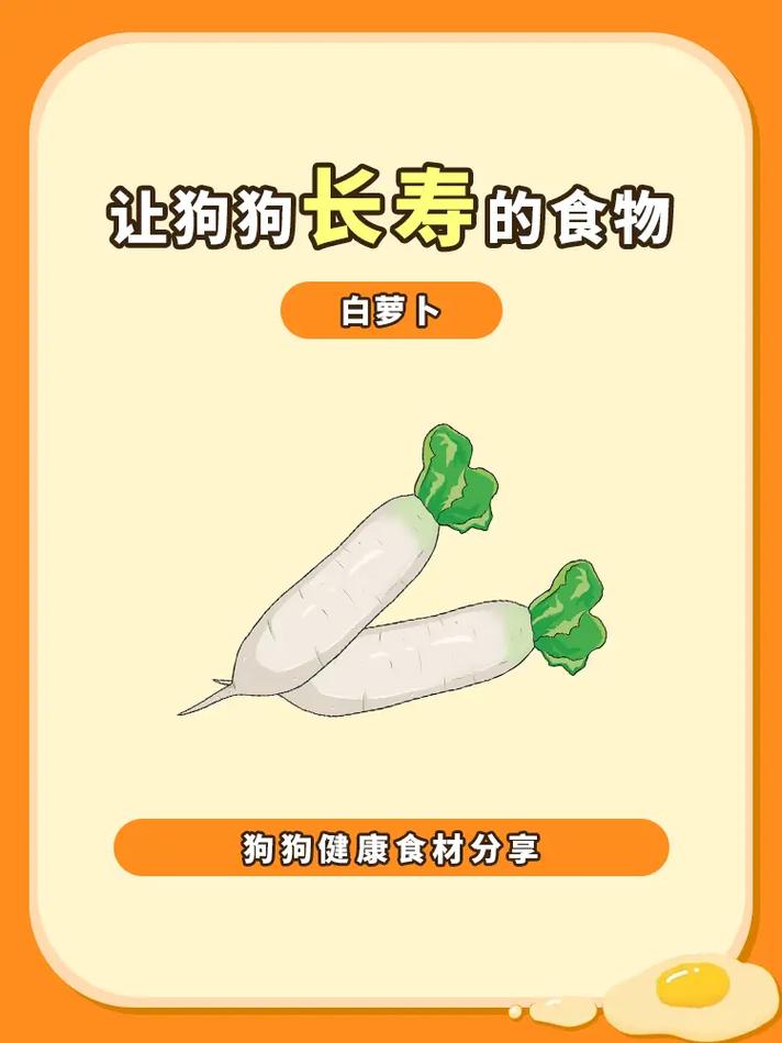 狗能吃白萝卜吗/狗能吃白萝卜吗为什么-第7张图片 狗能吃白萝卜吗/狗能吃白萝卜吗为什么-第7张图片