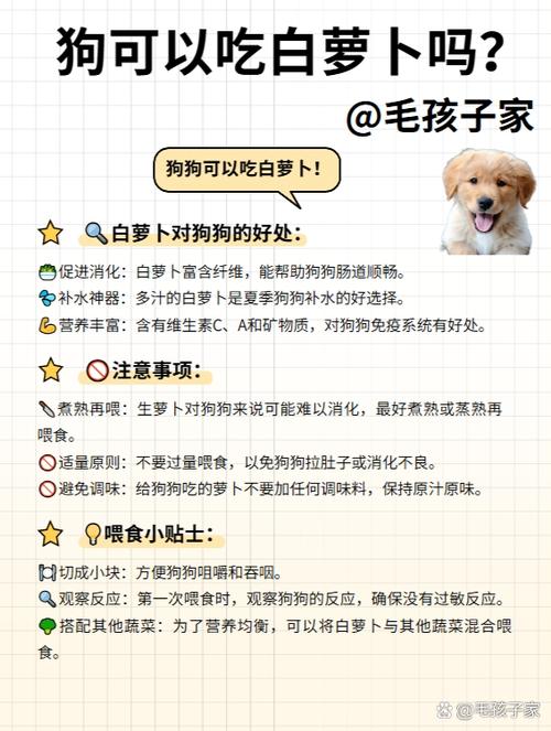 狗能吃白萝卜吗/狗能吃白萝卜吗为什么-第8张图片 狗能吃白萝卜吗/狗能吃白萝卜吗为什么-第8张图片