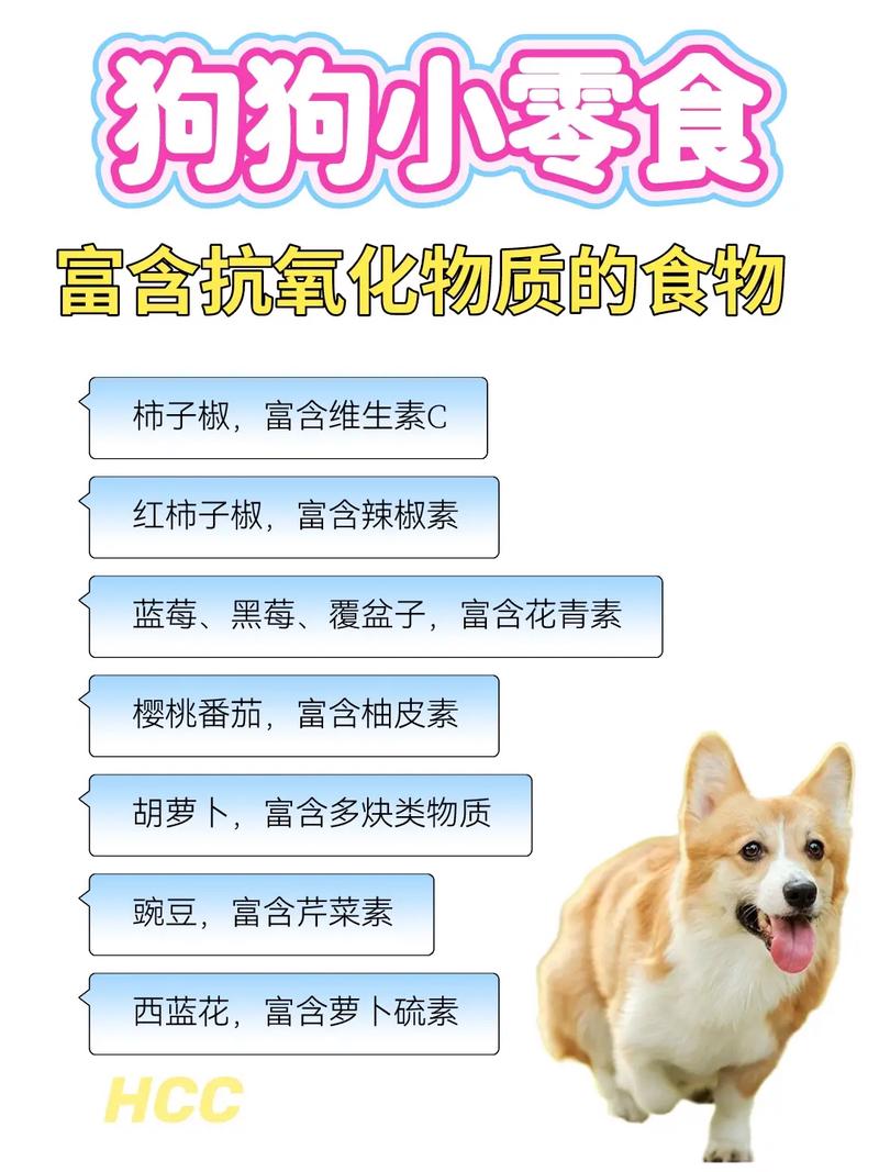 狗狗吃什么零食/狗狗吃什么零食不上火-第1张图片 狗狗吃什么零食/狗狗吃什么零食不上火-第1张图片