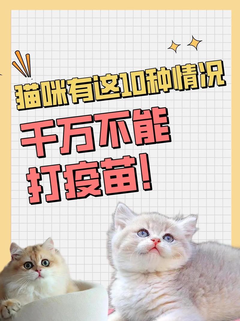 猫打完疫苗没精神-为什么小猫打完疫苗没精神-第2张图片 猫打完疫苗没精神-为什么小猫打完疫苗没精神-第2张图片