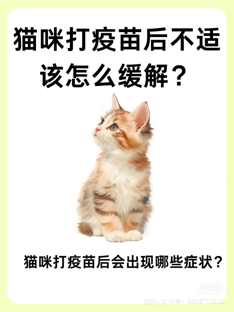 猫打完疫苗没精神-为什么小猫打完疫苗没精神-第3张图片 猫打完疫苗没精神-为什么小猫打完疫苗没精神-第3张图片