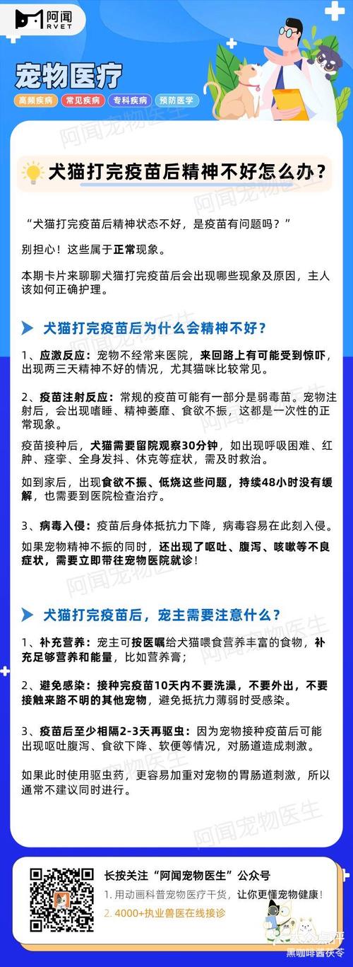 猫打完疫苗没精神-为什么小猫打完疫苗没精神-第9张图片 猫打完疫苗没精神-为什么小猫打完疫苗没精神-第9张图片