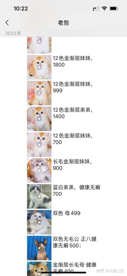 捡到猫咪怎么处理-捡到猫咪应该怎么办-第2张图片 捡到猫咪怎么处理-捡到猫咪应该怎么办-第2张图片