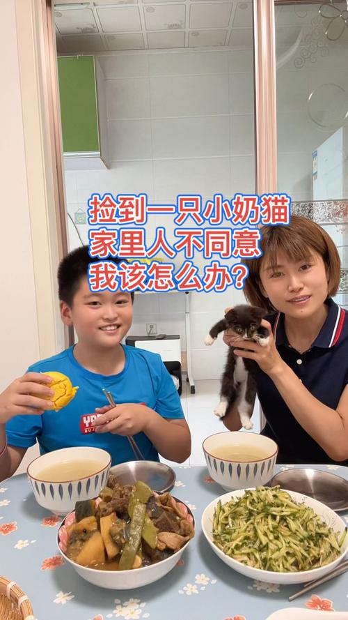 捡到猫咪怎么处理-捡到猫咪应该怎么办-第3张图片 捡到猫咪怎么处理-捡到猫咪应该怎么办-第3张图片