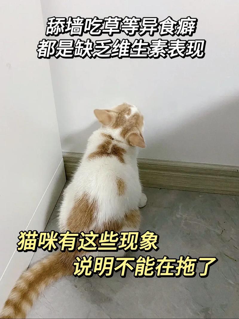 猫咪缺少微量元素怎么补-猫咪缺微量元素吃什么食物