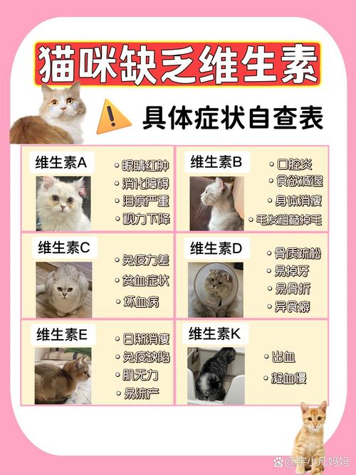 猫咪缺少微量元素怎么补-猫咪缺微量元素吃什么食物-第4张图片 猫咪缺少微量元素怎么补-猫咪缺微量元素吃什么食物-第4张图片