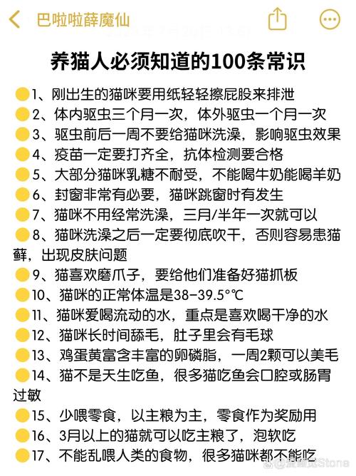 猫咪缺少微量元素怎么补-猫咪缺微量元素吃什么食物-第5张图片 猫咪缺少微量元素怎么补-猫咪缺微量元素吃什么食物-第5张图片