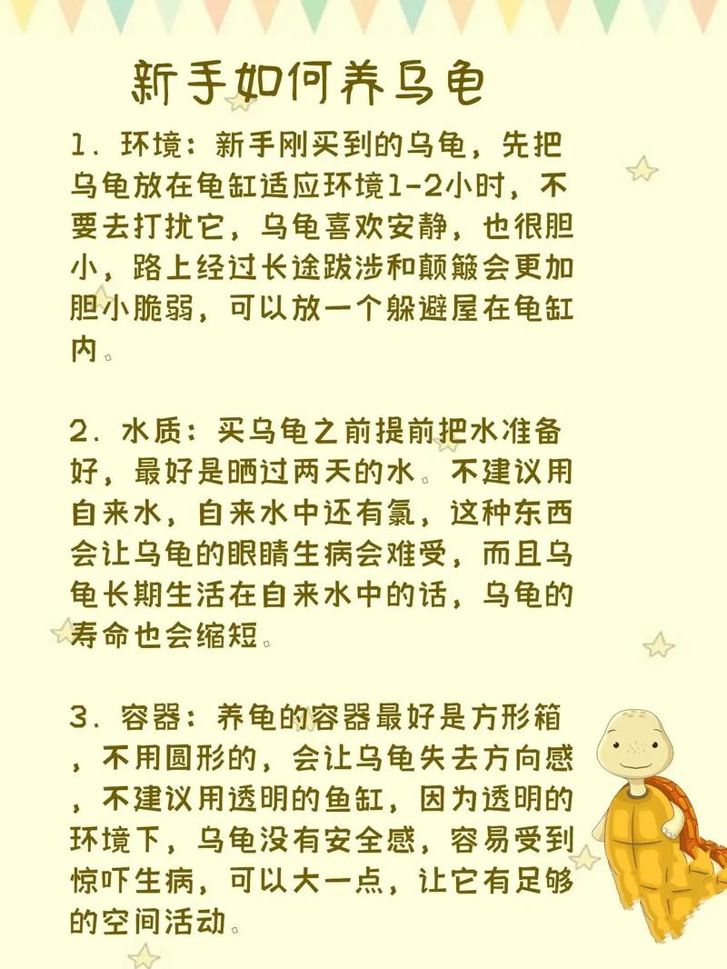 如何养乌龟,如何养乌龟小常识-第3张图片 如何养乌龟,如何养乌龟小常识-第3张图片