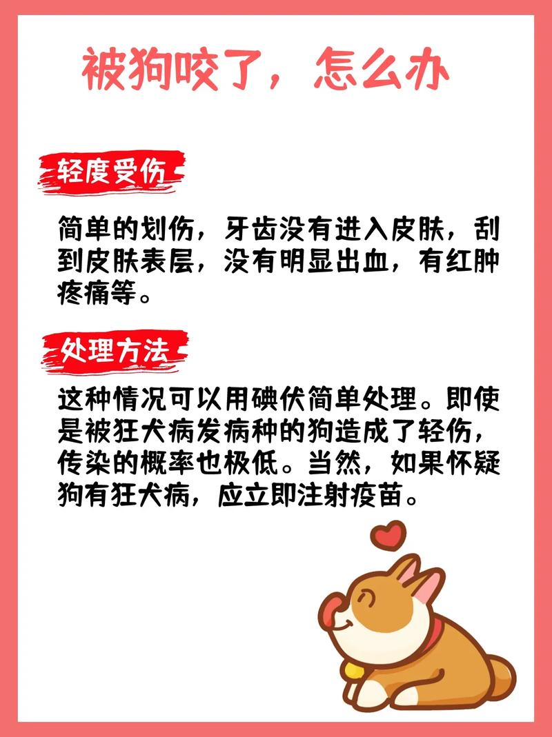 被狗狗咬了怎么办,狗狗被咬了怎么处理-第1张图片 被狗狗咬了怎么办,狗狗被咬了怎么处理-第1张图片