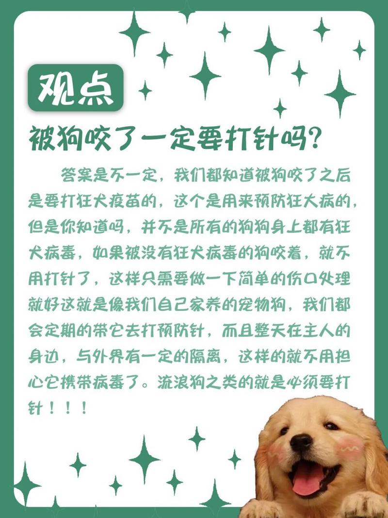被狗狗咬了怎么办,狗狗被咬了怎么处理-第3张图片 被狗狗咬了怎么办,狗狗被咬了怎么处理-第3张图片