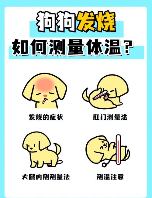 如何给狗狗量体温，怎样给狗狗量体温计