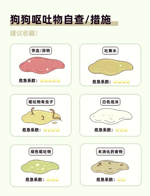 小狗吐白色泡沫,小猫一直吐白色泡沫-第1张图片 小狗吐白色泡沫,小猫一直吐白色泡沫-第1张图片