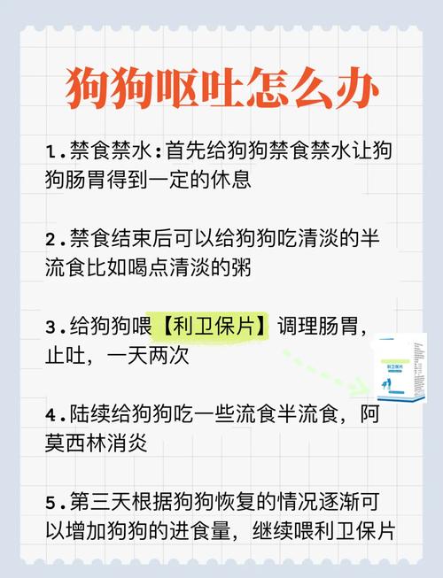 小狗吐白色泡沫,小猫一直吐白色泡沫-第4张图片 小狗吐白色泡沫,小猫一直吐白色泡沫-第4张图片