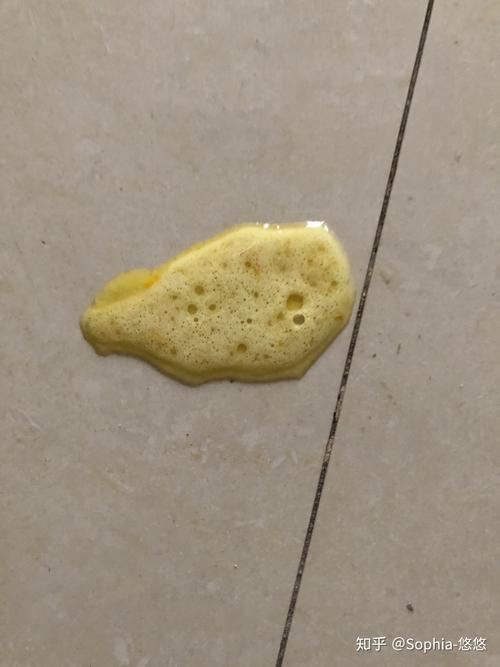 小狗吐白色泡沫,小猫一直吐白色泡沫-第5张图片 小狗吐白色泡沫,小猫一直吐白色泡沫-第5张图片