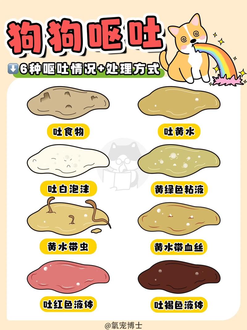 小狗吐白色泡沫,小猫一直吐白色泡沫-第9张图片 小狗吐白色泡沫,小猫一直吐白色泡沫-第9张图片