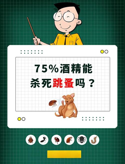 酒精能杀死跳蚤吗/酒精能杀死跳蚤吗?-第7张图片 酒精能杀死跳蚤吗/酒精能杀死跳蚤吗?-第7张图片