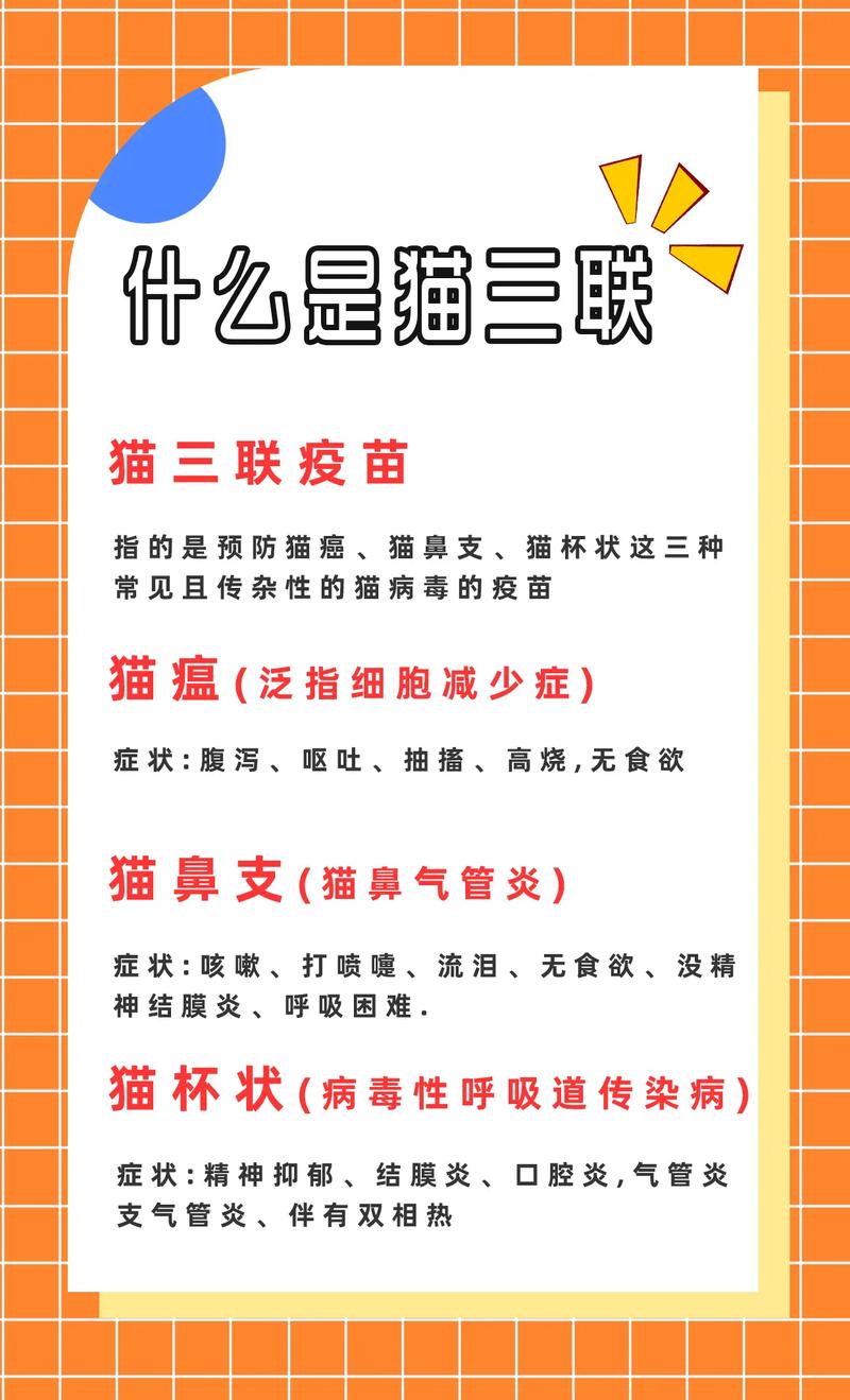 解析“猫咪疫苗间隔时间”你不知道的事-第6张图片 解析“猫咪疫苗间隔时间”你不知道的事-第6张图片