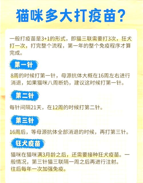 解析“猫咪疫苗间隔时间”你不知道的事-第7张图片 解析“猫咪疫苗间隔时间”你不知道的事-第7张图片