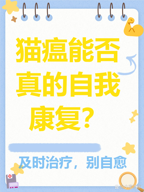 猫咪得猫瘟能治好吗,猫得了猫瘟能活吗-第4张图片 猫咪得猫瘟能治好吗,猫得了猫瘟能活吗-第4张图片