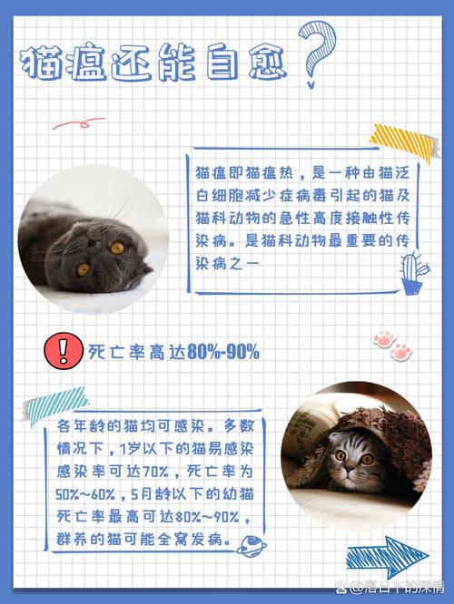 猫咪得猫瘟能治好吗,猫得了猫瘟能活吗-第5张图片 猫咪得猫瘟能治好吗,猫得了猫瘟能活吗-第5张图片