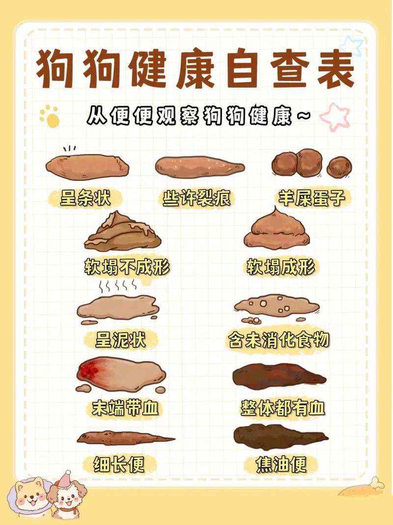 狗狗拉稀能吃益生菌吗，狗狗拉肚子可以吃益生菌