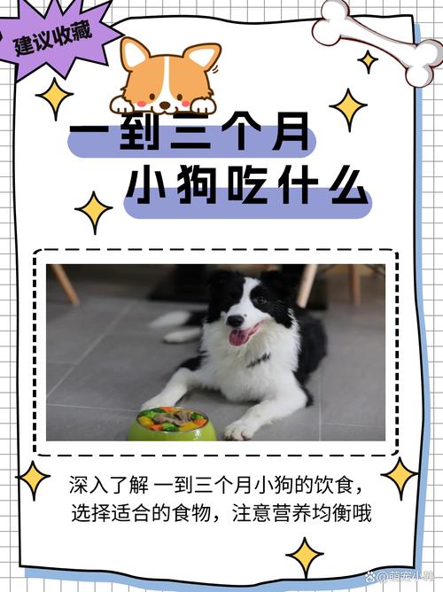 作为消费者“狗狗多大可以吃火腿肠”你不能不知道-第1张图片 作为消费者“狗狗多大可以吃火腿肠”你不能不知道-第1张图片