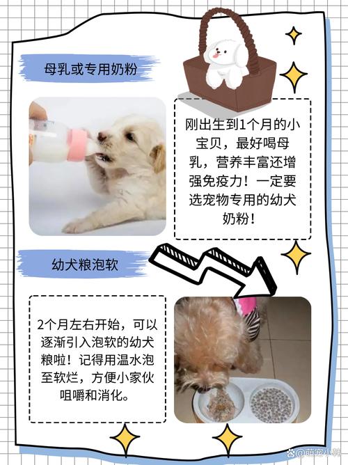 作为消费者“狗狗多大可以吃火腿肠”你不能不知道-第6张图片 作为消费者“狗狗多大可以吃火腿肠”你不能不知道-第6张图片