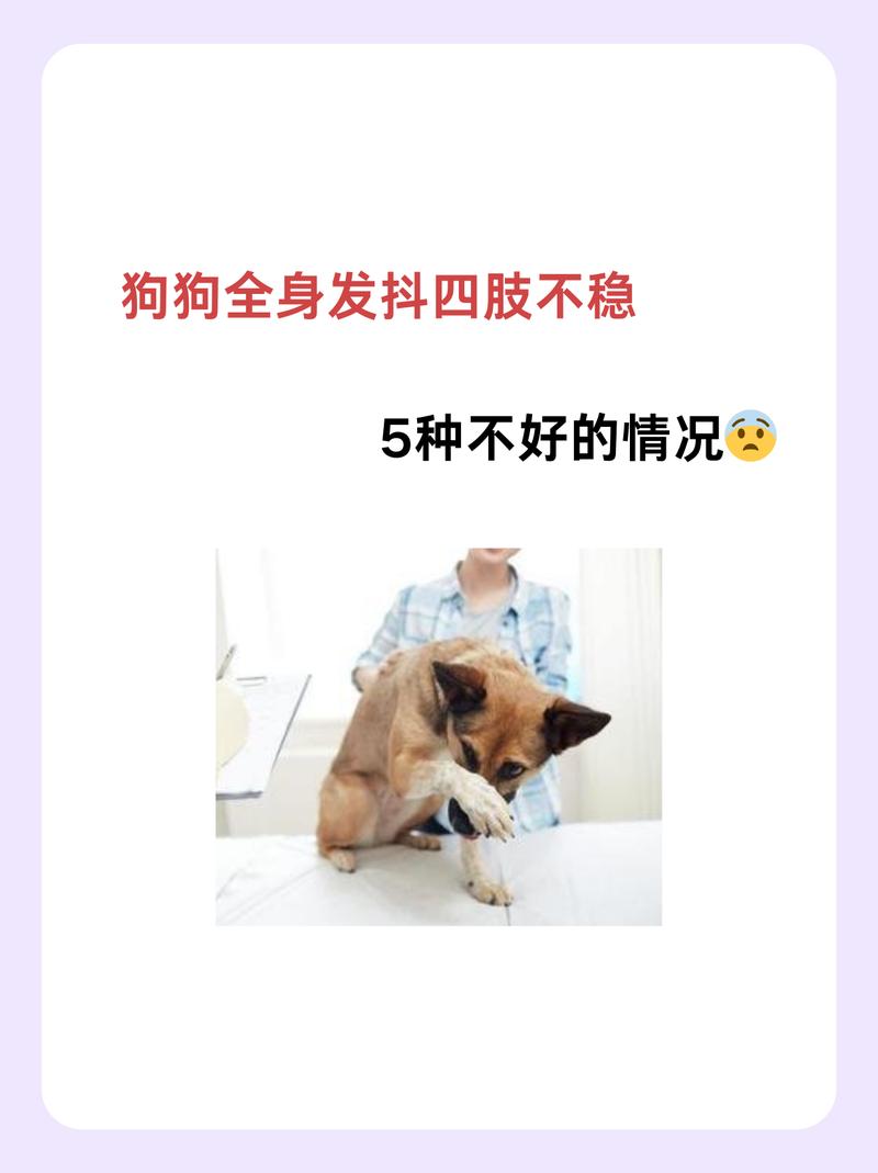 作为消费者“小狗发抖”你不能不知道-第3张图片 作为消费者“小狗发抖”你不能不知道-第3张图片