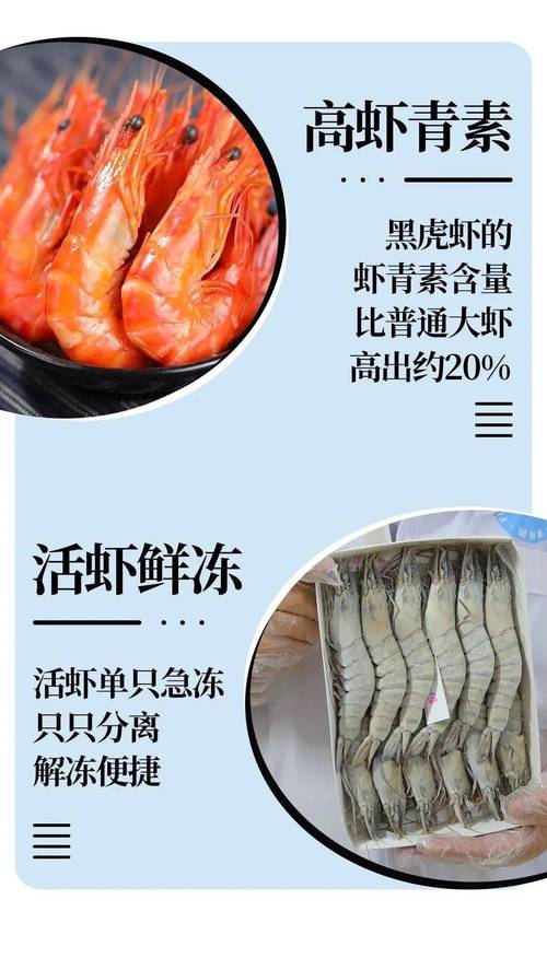 蓝魔虾多少钱一只啊,蓝魔虾捕食-第2张图片 蓝魔虾多少钱一只啊,蓝魔虾捕食-第2张图片