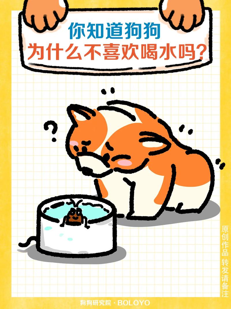 狗狗刚跑完可以喝水吗/狗狗跑步完多长时间能喝水-第10张图片 狗狗刚跑完可以喝水吗/狗狗跑步完多长时间能喝水-第10张图片