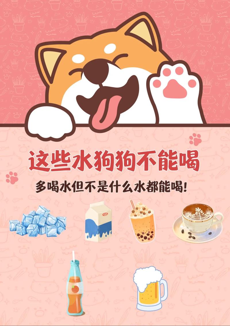 解析“狗狗可以喝热水吗”你不知道的事-第9张图片 解析“狗狗可以喝热水吗”你不知道的事-第9张图片