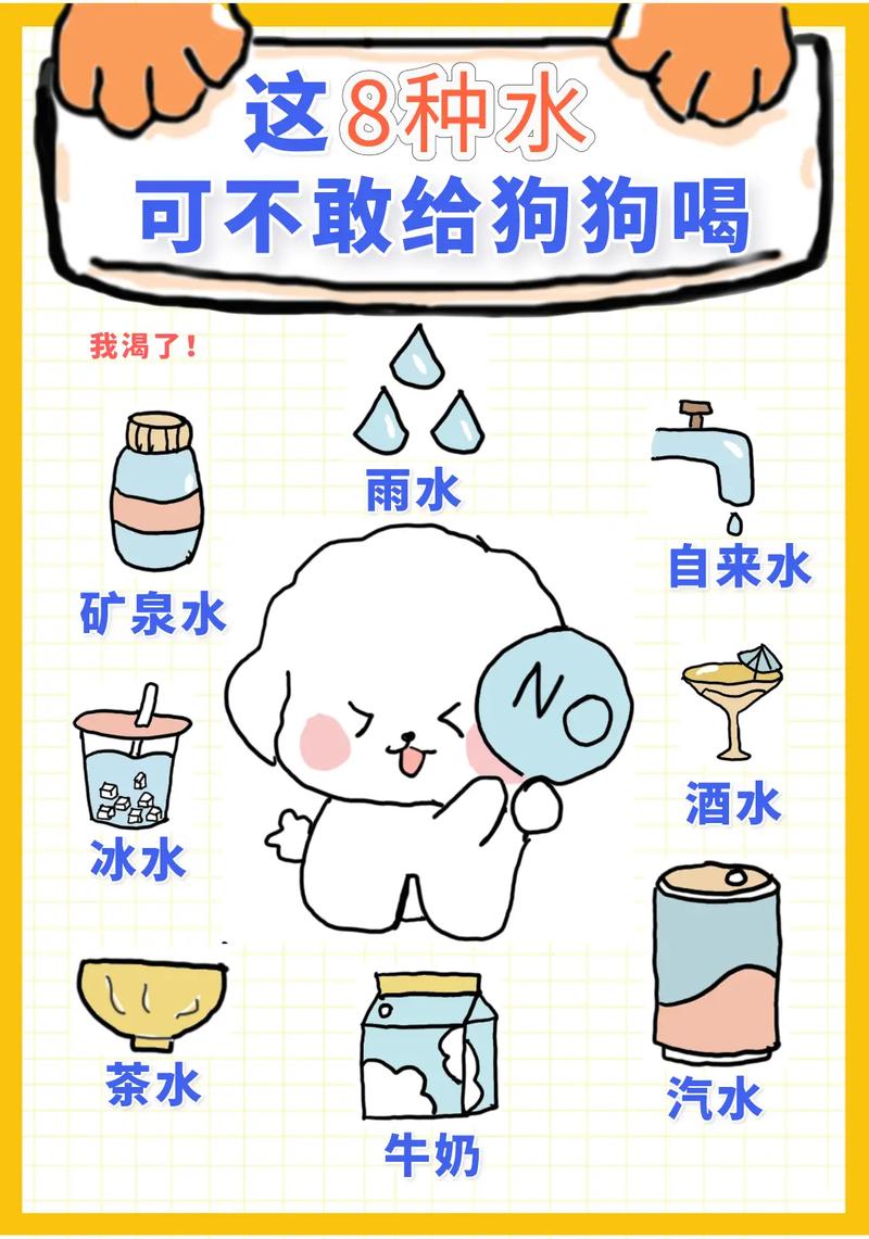 解析“狗狗可以喝热水吗”你不知道的事-第10张图片 解析“狗狗可以喝热水吗”你不知道的事-第10张图片