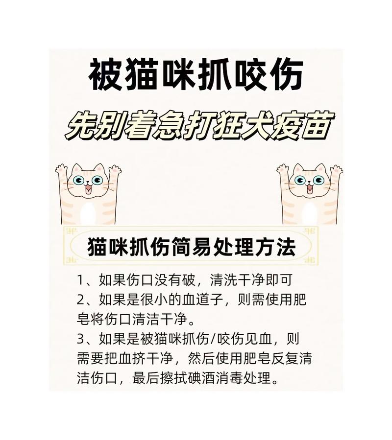 经常被猫抓伤怎么办/经常被猫咪抓伤-第3张图片 经常被猫抓伤怎么办/经常被猫咪抓伤-第3张图片