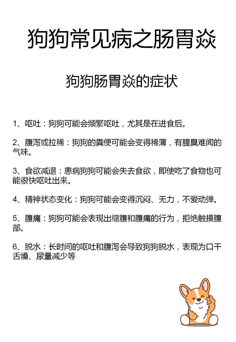 狗狗肠胃炎的症状/狗狗肠胃炎的症状有哪些-第1张图片 狗狗肠胃炎的症状/狗狗肠胃炎的症状有哪些-第1张图片