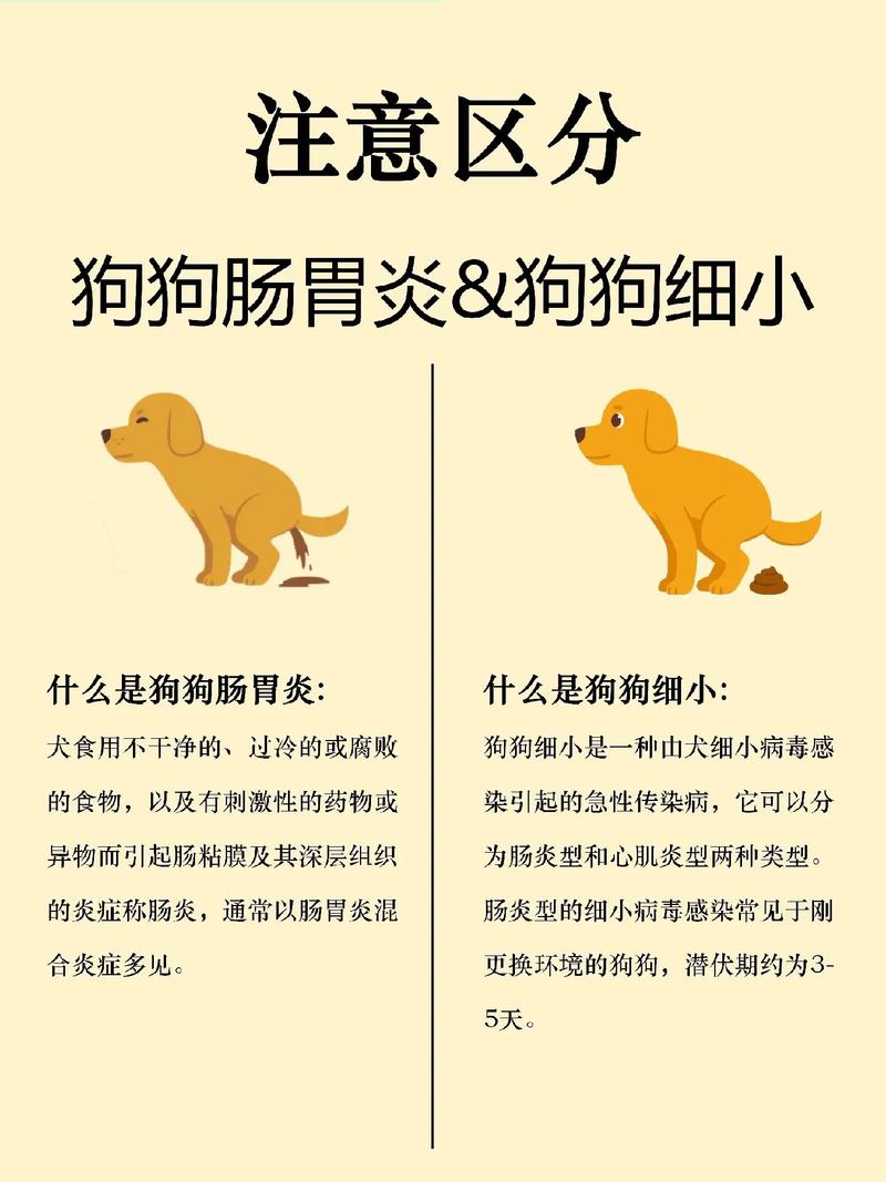 狗狗肠胃炎的症状/狗狗肠胃炎的症状有哪些-第2张图片 狗狗肠胃炎的症状/狗狗肠胃炎的症状有哪些-第2张图片