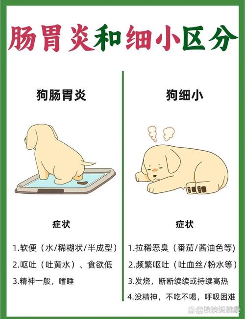 狗狗肠胃炎的症状/狗狗肠胃炎的症状有哪些-第5张图片 狗狗肠胃炎的症状/狗狗肠胃炎的症状有哪些-第5张图片