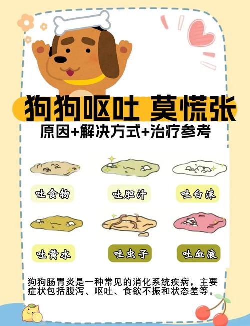 狗狗肠胃炎的症状/狗狗肠胃炎的症状有哪些-第9张图片 狗狗肠胃炎的症状/狗狗肠胃炎的症状有哪些-第9张图片