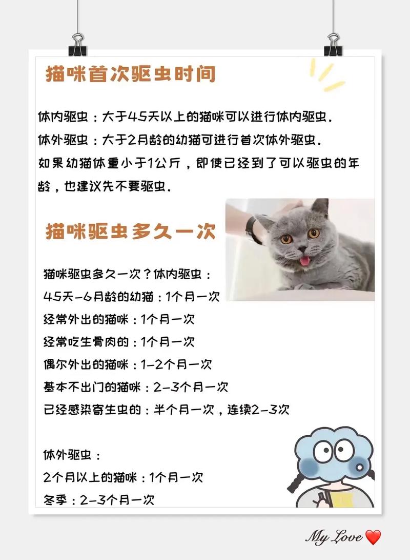 解析“猫咪多久驱虫一次比较好”你不知道的事