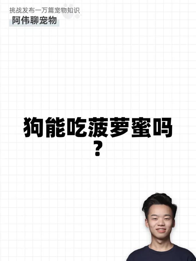 泰迪能吃菠萝蜜吗/泰迪狗狗能不能吃菠萝蜜-第6张图片 泰迪能吃菠萝蜜吗/泰迪狗狗能不能吃菠萝蜜-第6张图片