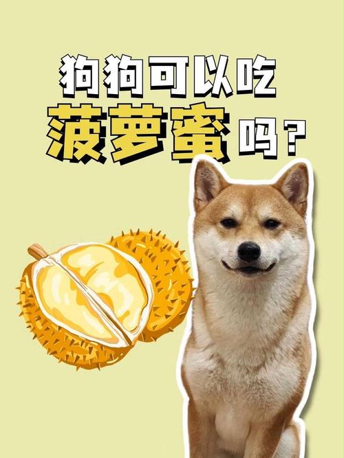 泰迪能吃菠萝蜜吗/泰迪狗狗能不能吃菠萝蜜-第9张图片 泰迪能吃菠萝蜜吗/泰迪狗狗能不能吃菠萝蜜-第9张图片