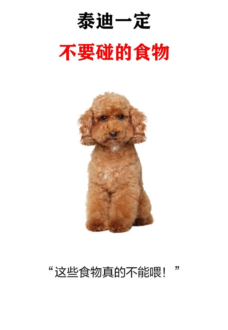 泰迪能吃菠萝蜜吗/泰迪狗狗能不能吃菠萝蜜-第10张图片 泰迪能吃菠萝蜜吗/泰迪狗狗能不能吃菠萝蜜-第10张图片