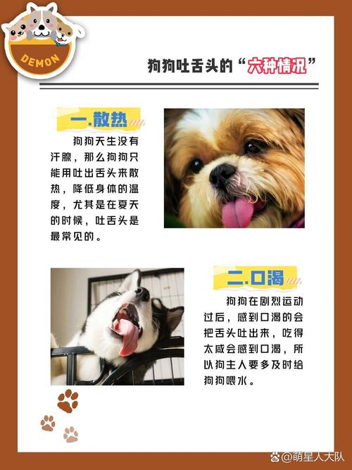 狗狗老伸舌头怎么回事-小狗狗老伸舌头是生病了嘛-第2张图片 狗狗老伸舌头怎么回事-小狗狗老伸舌头是生病了嘛-第2张图片