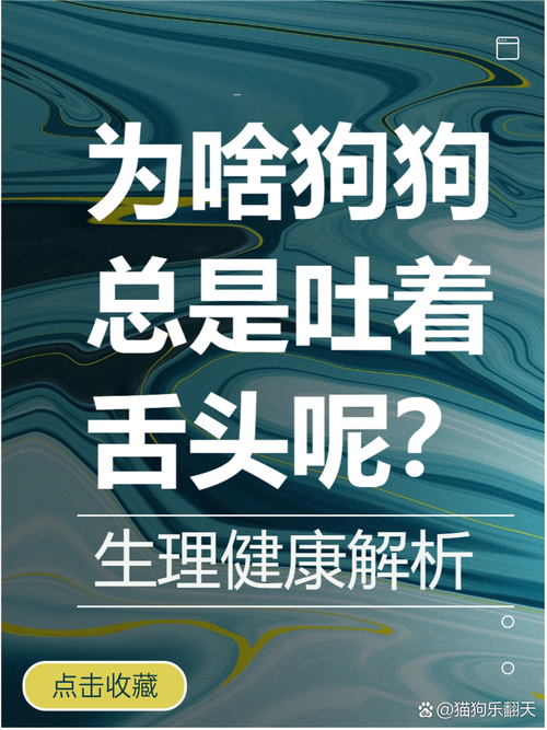 狗狗老伸舌头怎么回事-小狗狗老伸舌头是生病了嘛-第5张图片 狗狗老伸舌头怎么回事-小狗狗老伸舌头是生病了嘛-第5张图片