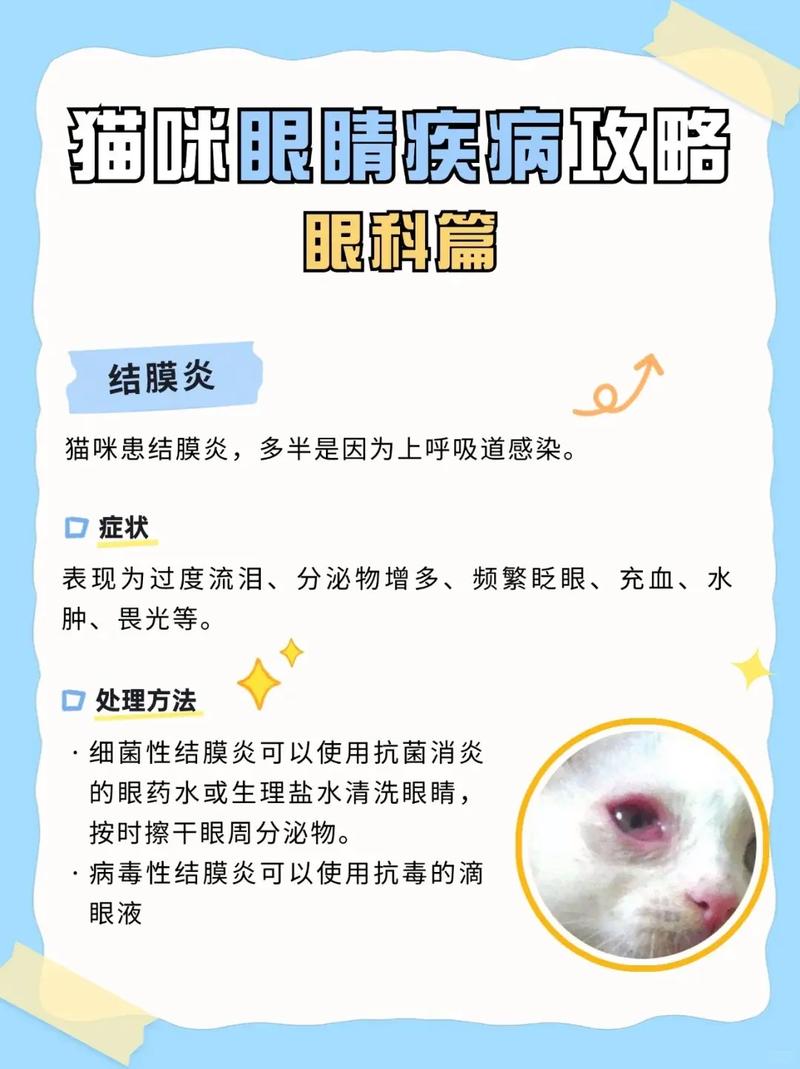 作为消费者“猫咪眼睛”你不能不知道-第9张图片 作为消费者“猫咪眼睛”你不能不知道-第9张图片