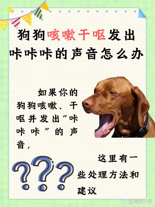 解析“狗狗咳嗽但是精神很好”你不知道的事-第6张图片 解析“狗狗咳嗽但是精神很好”你不知道的事-第6张图片