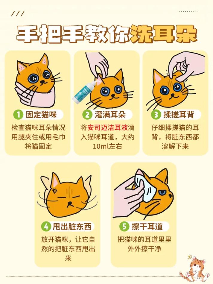 作为消费者“猫咪耳朵很脏怎么处理”你不能不知道-第5张图片 作为消费者“猫咪耳朵很脏怎么处理”你不能不知道-第5张图片